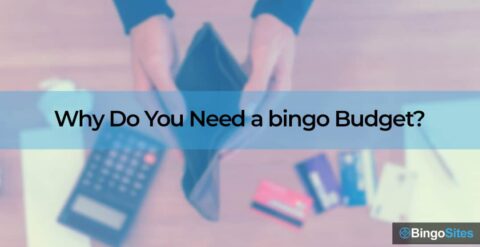 How To Play Bingo On A Budget - Guide